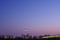東京スカイツリー　ライティング