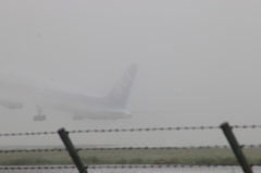 こんな濃霧でも飛行機って飛べるんですね図