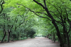 京都にて