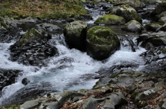 七滝の川