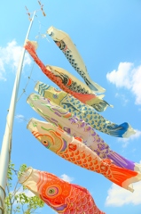 鯉のぼり