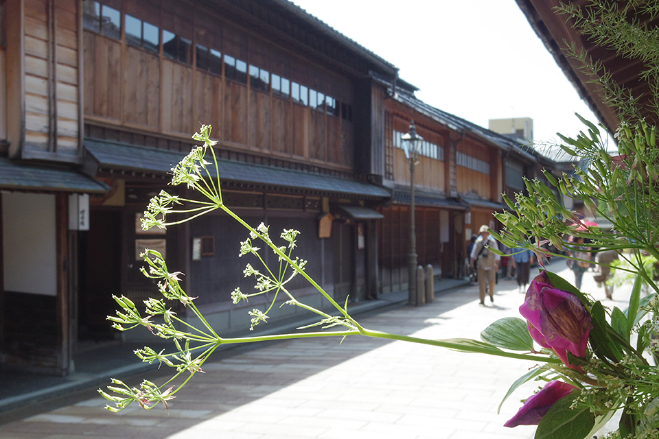 金沢ひがし茶屋街 02