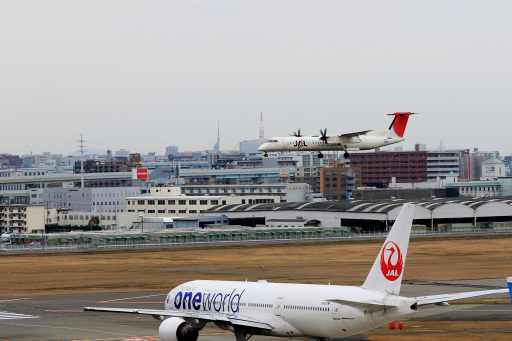 福岡空港2タミ (36)