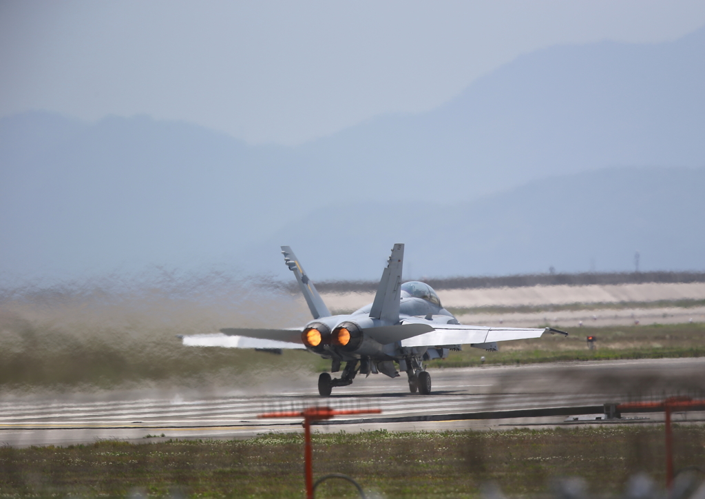 FSD (16)