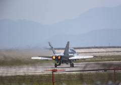 FSD (16)