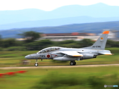 T4 (2)