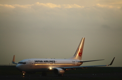 夕日を浴びて