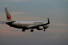 B737 (2)