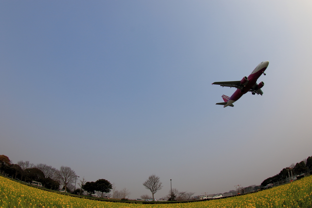 福岡空港RWY16側 (7)