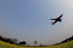 福岡空港RWY16側 (7)