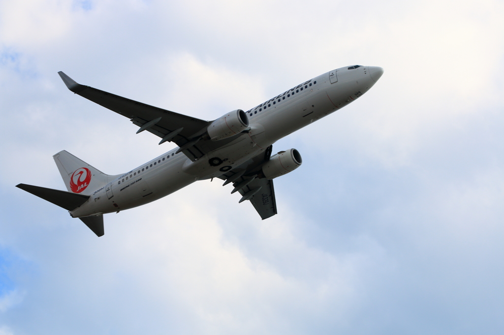 B737