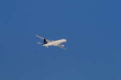 STAR ALLIANCE (13)