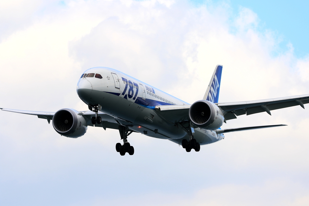 B787 (4)