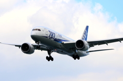 B787 (4)