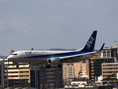 福岡空港2タミ (41)