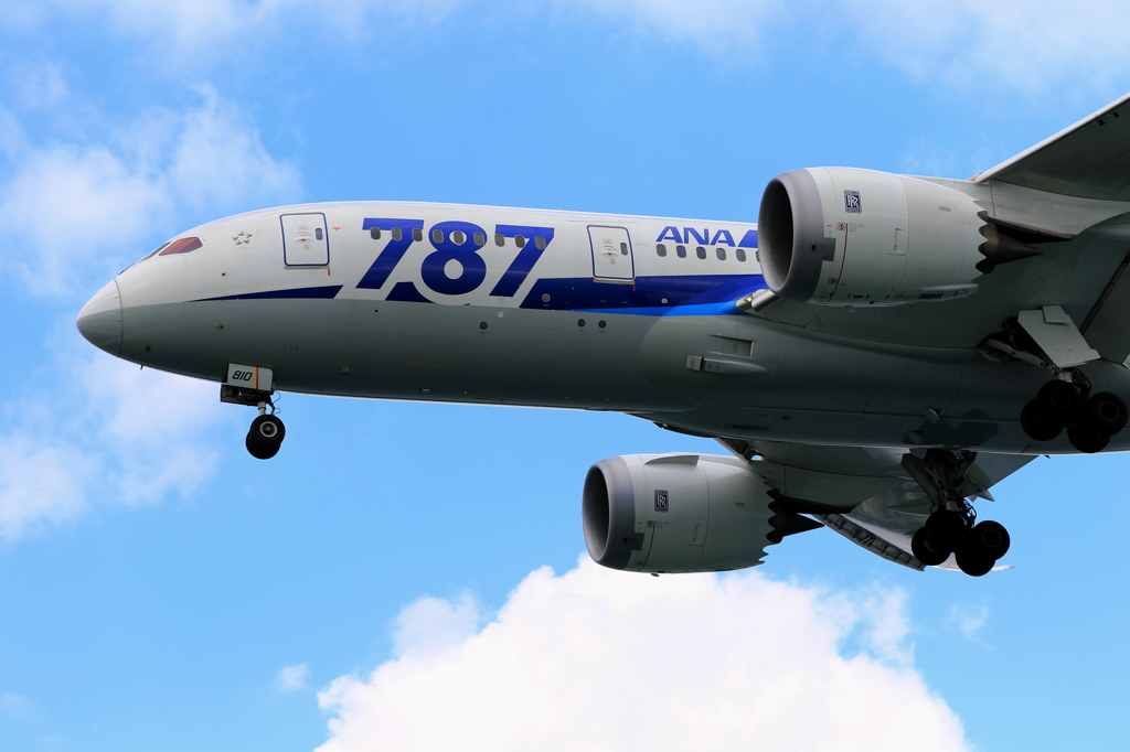 B787 (6)