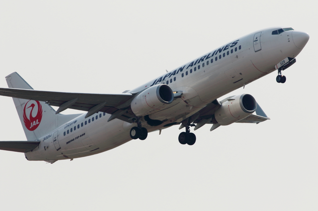 JAL (2)