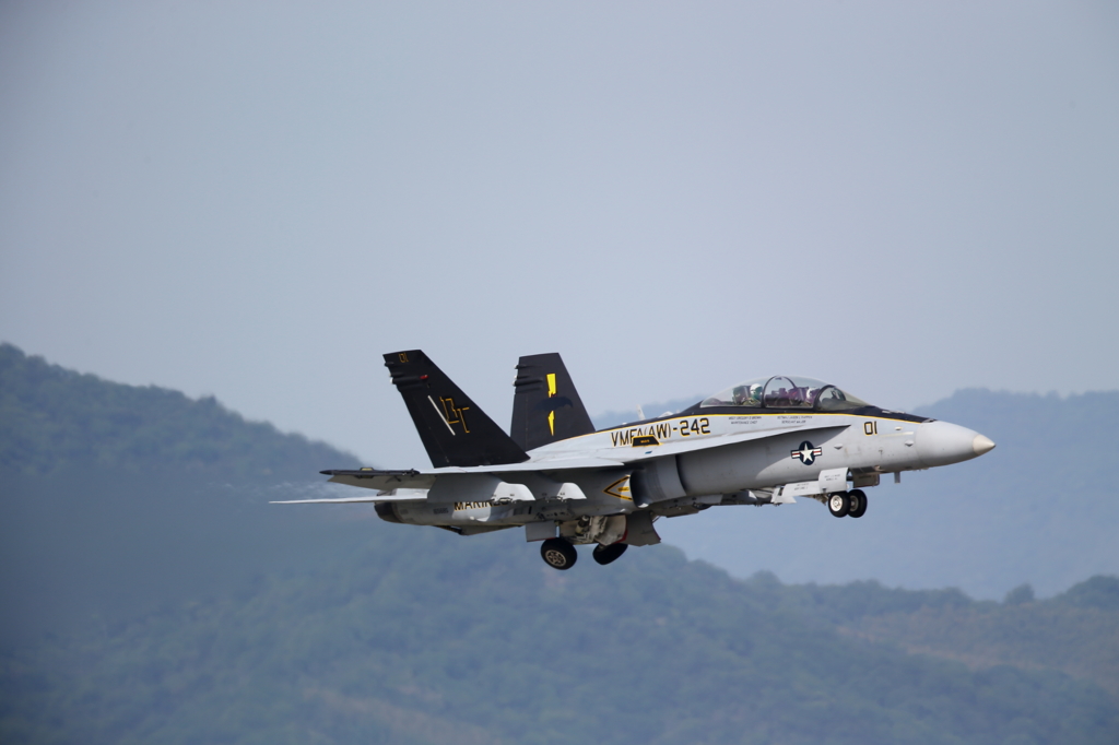 FSD (22)