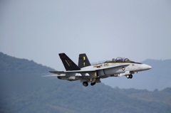FSD (22)