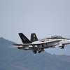 FSD (22)