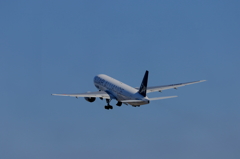 STAR ALLIANCE (12)