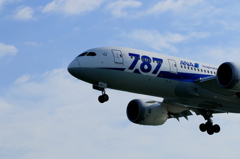 B787 (2)