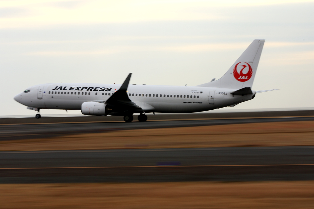 JAL (2)