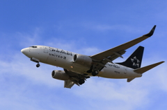 B737 (2)
