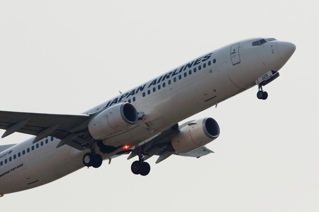JAL (3)
