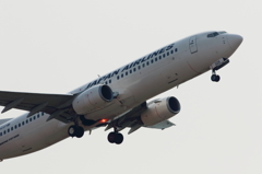 JAL (3)
