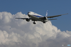 ANA777