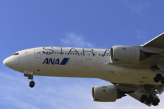 STAR ALLIANCE (2)