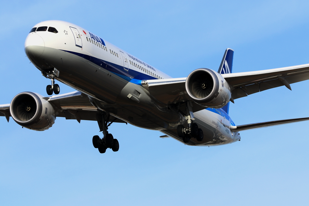 B787