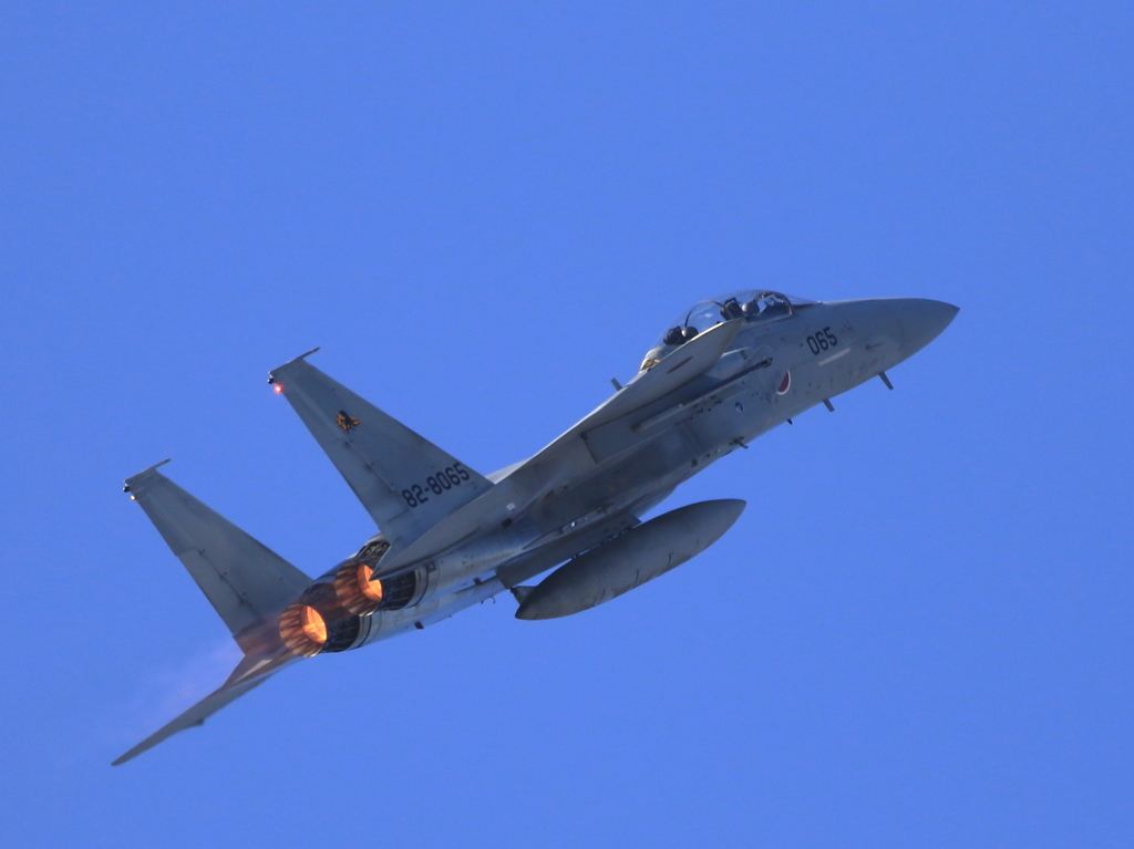 新田原エアーフェスタ (12)
