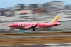 福岡空港2タミ (15)