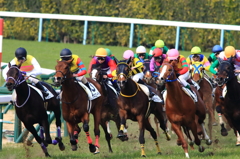 小倉競馬場 (12)
