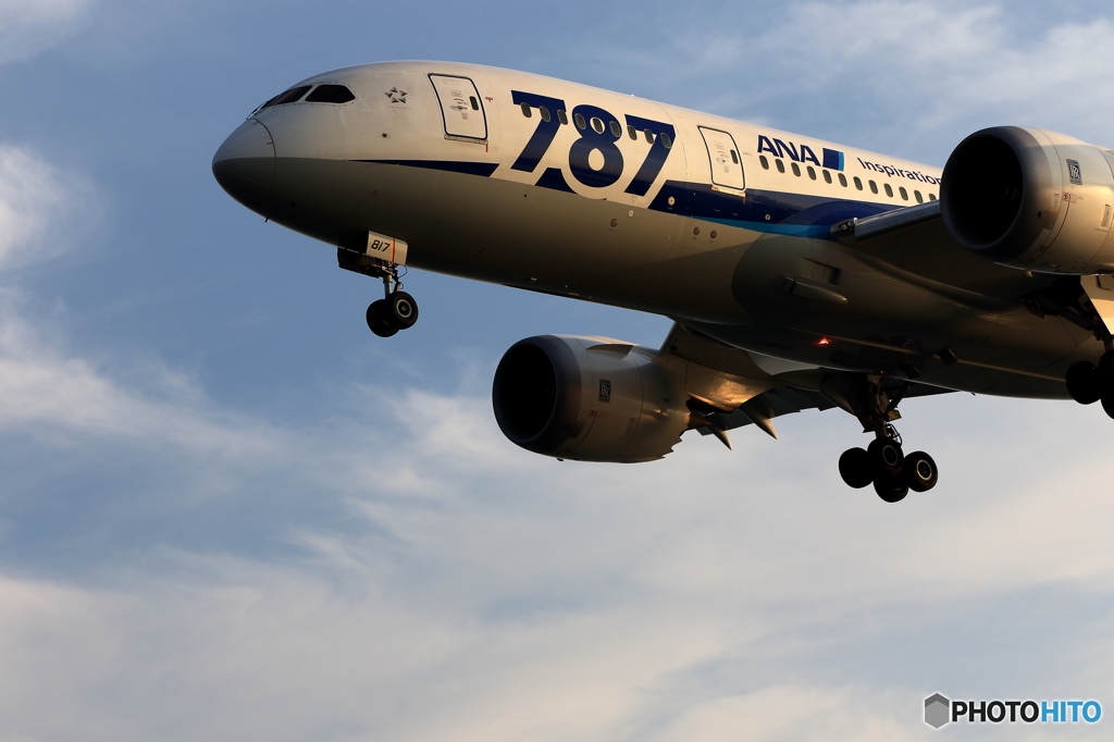 B787 (3)