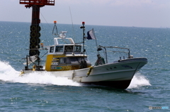 帰港