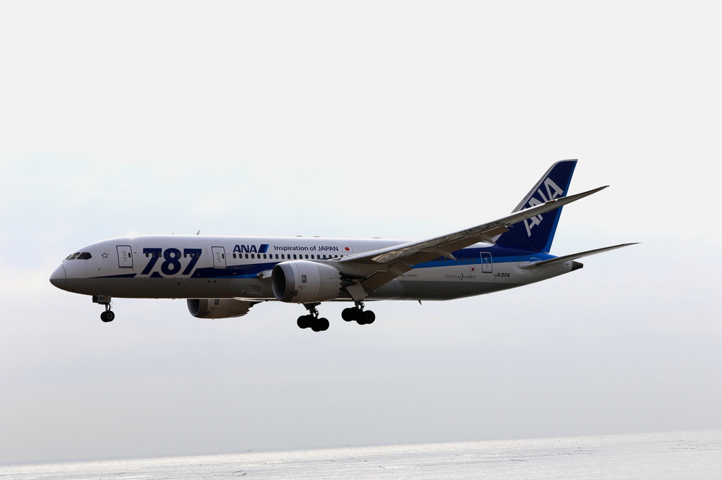 B787 (2)