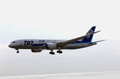 B787 (2)