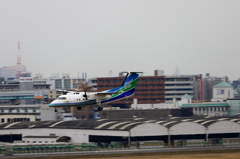 福岡空港2タミ (39)