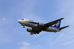 B737 (3)