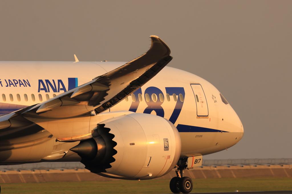 B787 (2)