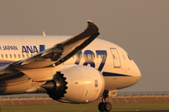 B787 (2)