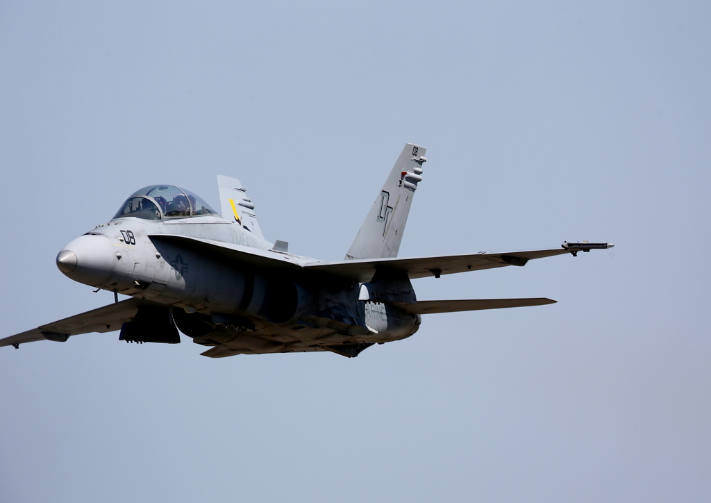 FSD (15)