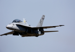 FSD (15)