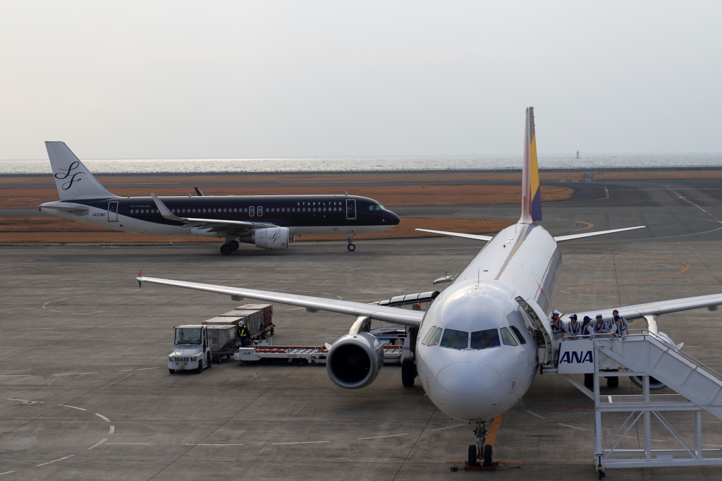 ASIANA&SFJ