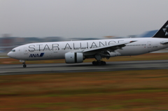 STAR ALLIANCE (2)