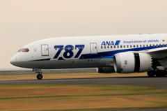 B787