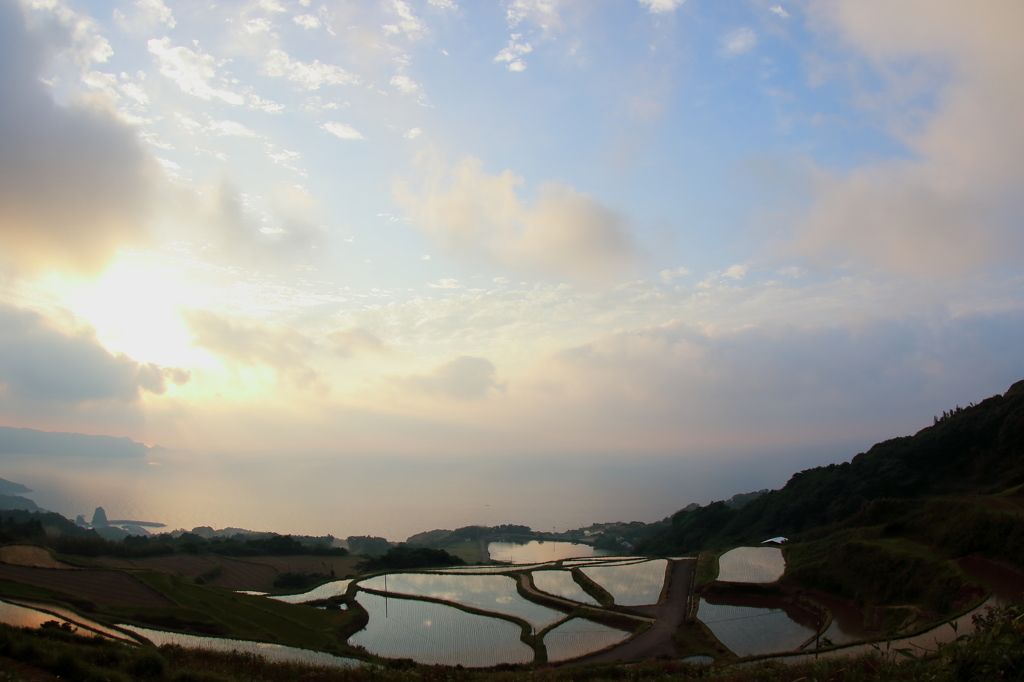 東後畑の棚田